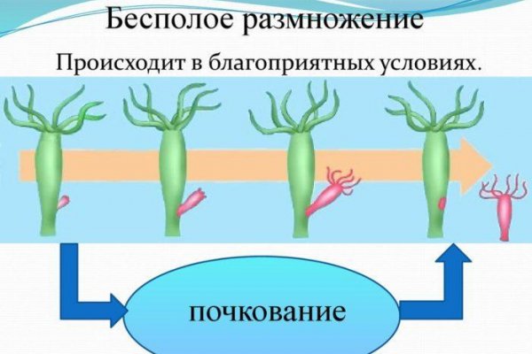 Тор blacksprut 5пв