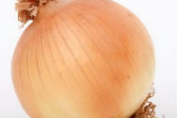 Black sprut onion ссылка